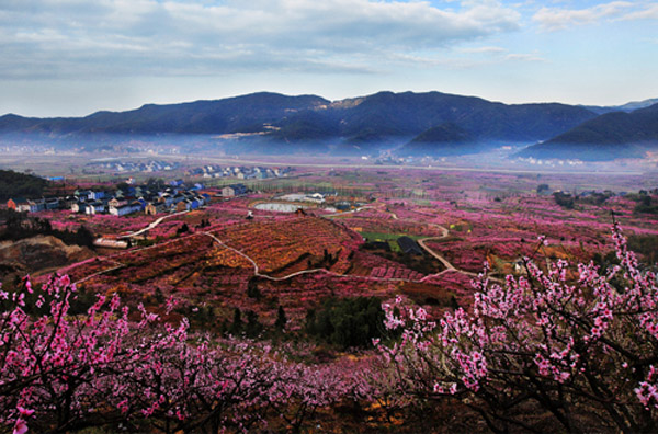 第九届宁海胡陈东山桃花节有哪些活动2016宁海胡陈东山桃花节时间地点