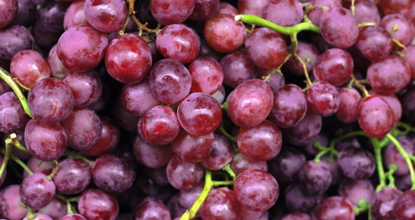 【宾川葡萄节】2016宾川葡萄节时间、地点、