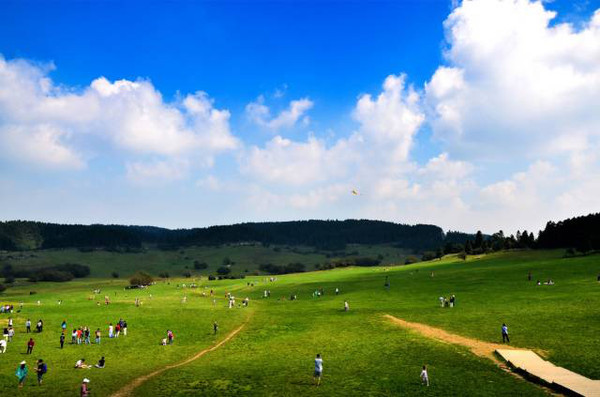 2016年重庆仙女山音乐会门票多少钱? - 飞扬旅游网