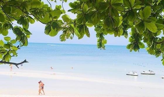 温州-苏梅机票(曼谷转机)