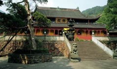 【发哥甄选】岱山休闲1日游