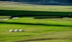 2025【北行专列·遇见草原】山海关、北戴河、盘锦、红海滩、哈尔滨、漠河、北极村、海拉尔、 满洲里、呼伦贝尔大草原、长白山、沈阳、丹东东北专列15日游