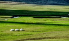 【错峰出游 趁早去呼伦贝尔】呼伦贝尔大草原、蒙兀室韦、异域满洲里、额尔古纳、醉美边防公路、哈尔滨进出双飞双卧6日游