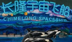【长隆宇宙飞船】香港、珠海、澳门经典5日游