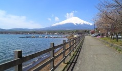 【探索本州】日本奈良·京都·富士山·镰仓·东京·大阪6日游