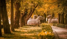 【南京赏秋】明孝陵、鸡鸣寺、玄武湖、阅江楼、中山陵3日游