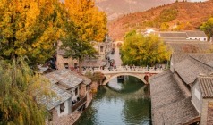 【入画江南】苏州周庄+枫桥+寒山寺+拙政园+平江路+金鸡湖高铁纯玩3日