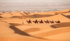 【穿越宁夏】宁夏、沙坡头、黄河大峡谷、贺兰山岩画金典品质5日游