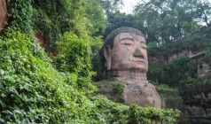 【亲子游·功夫熊猫】成都、峨眉习武、熊猫义工、都江堰、三星堆、乐山大佛双飞6日游