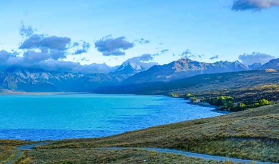 新西兰旅游签证（含材料翻译费用） 飞扬