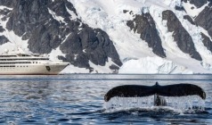 2月14日【庞洛星辉号】南极+南美5国34日深度游
