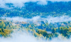 【6人小团   双湖集禾】新疆、禾木、赛里木湖、s21沙漠公路7日游