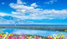 【 双湖集韵】新疆、禾木、喀纳斯、赛里木湖、乌伦古湖8日游