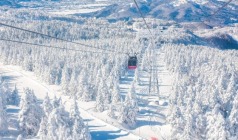 【世界Di一雪】日本东北五县雪国物语6日纯玩之旅