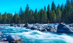 【西域三十六国】哈密（大海道、回王府、十二木卡姆）/乌鲁木齐 (天山天池)/吐鲁番 (坎儿井、火焰山、葡萄庄园)/北屯（喀纳斯、禾木、五彩滩）/博州 (赛里木湖) /伊宁 (霍尔果斯口岸、那拉提) /库尔勒(罗布人村寨)/库车 (天山神秘大峡谷)/沙雅（沙雅胡杨林、七彩田园、西域印鉴）/阿图什(白沙山、卡拉库勒湖）喀什（喀什老城、艾提尕尔清真寺、香妃园) /兰州（黄河母亲雕塑、水车博览园、水墨丹霞）南北疆空调专列18日