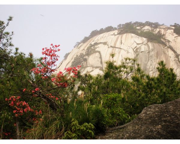 司空山风景区位于岳西县城西南70公里处,其渊源于周,开发于汉,盛极于