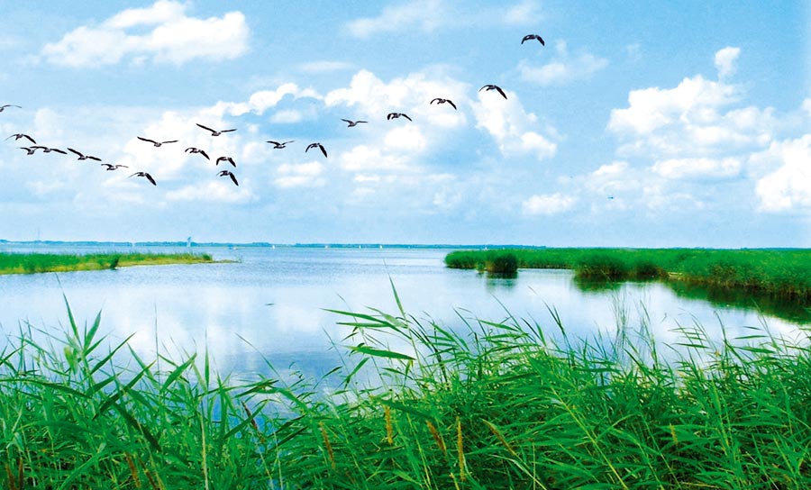 双河林木绥化景点大全suihua当前位置:飞扬旅游网>>目的地>>黑龙江>>